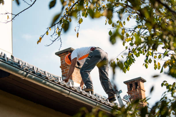 Best Roof Maintenance Services  in Bedford, VA